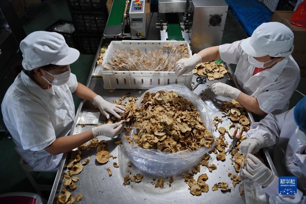 现金银河注册